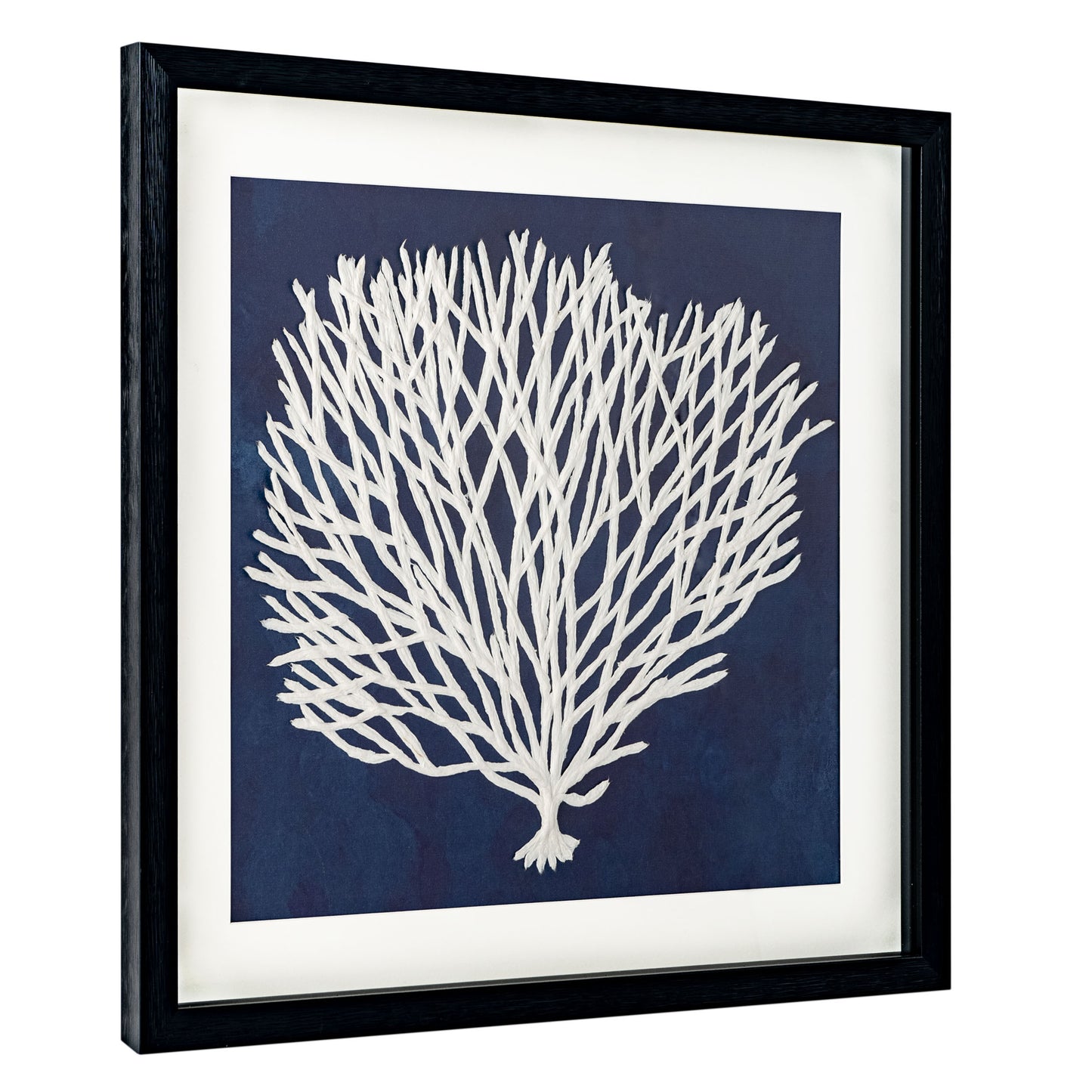 Sea Fan I, Shadow Box