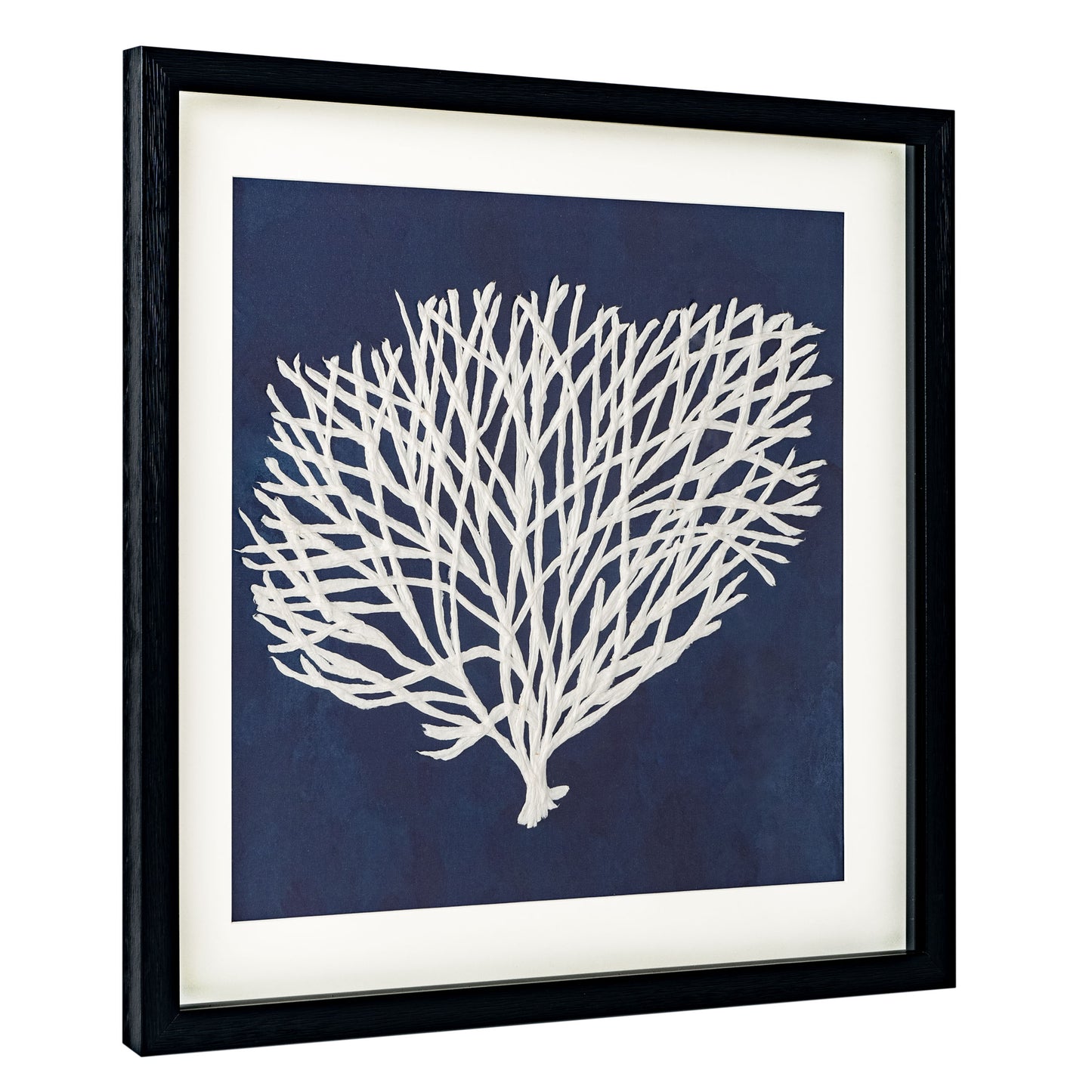 Sea Fan II, Shadow Box