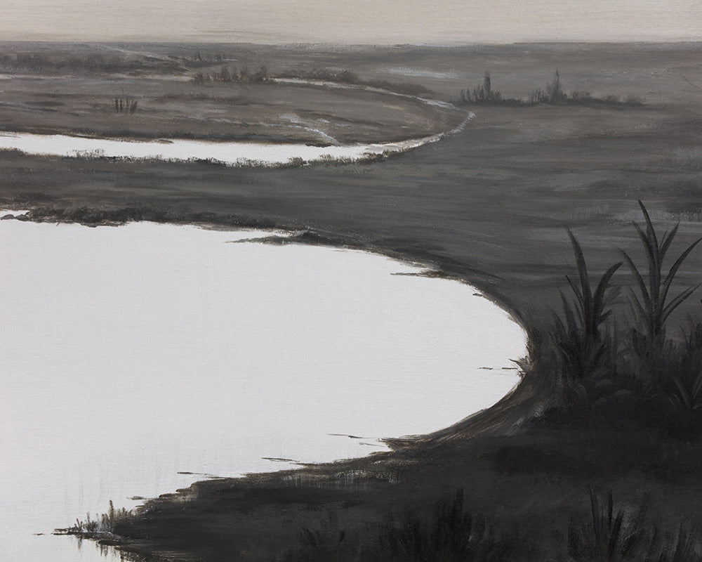 NAHLA LONESOME WETLANDS - 60" X 60" - BLACK FLOATER FRAME