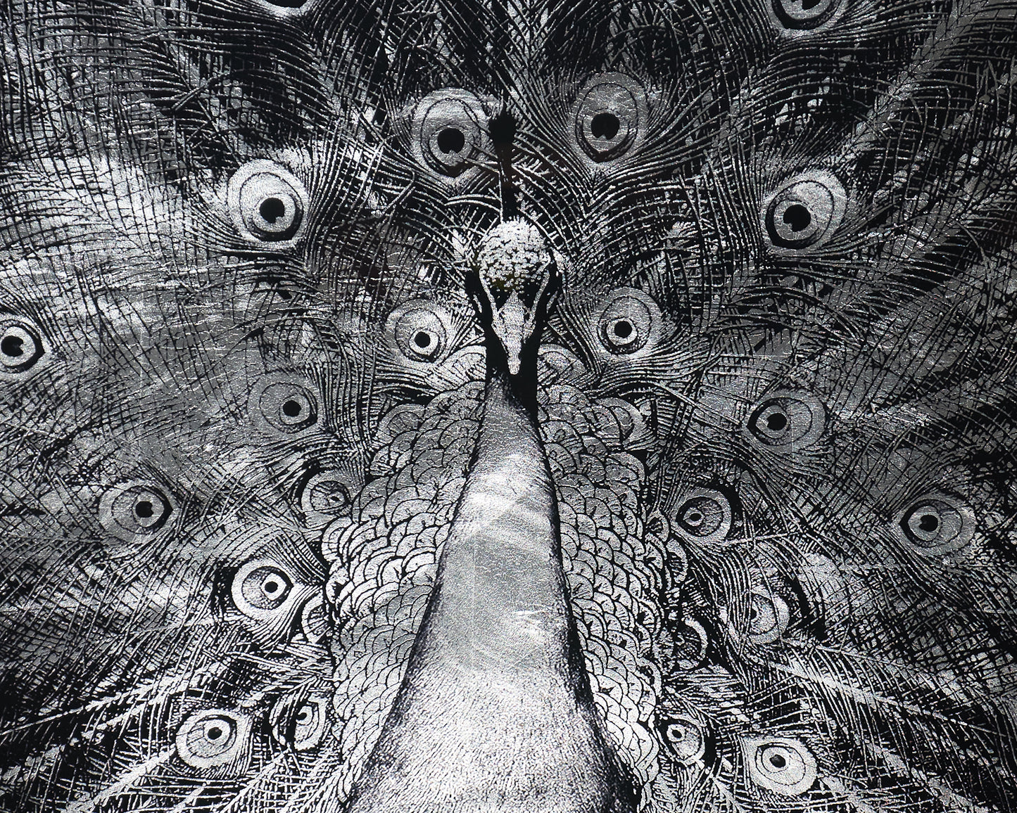 NAHLA SILVER PLUMAGE - 72" X 48" - CHARCOAL FRAME