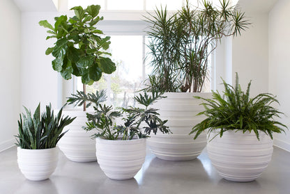 June Planter, White, XS