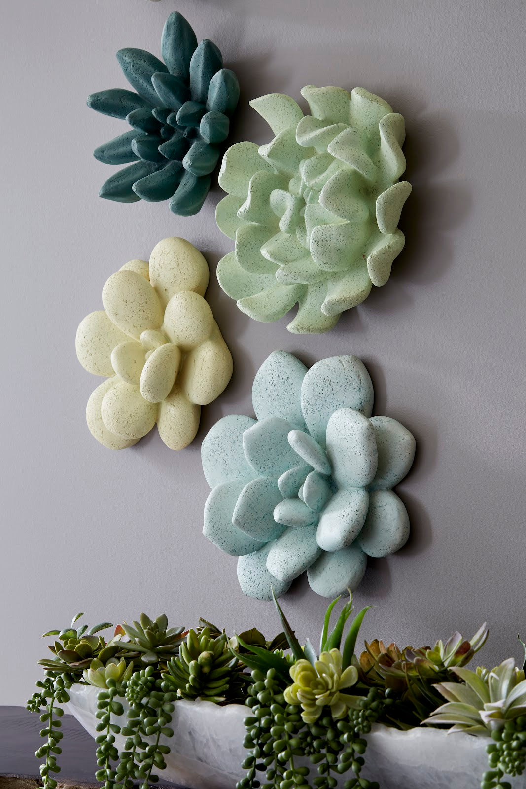 Compactum Succulent Wall Art, Forest