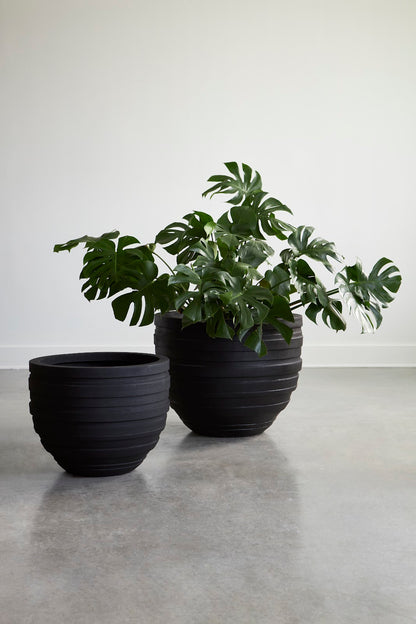 June Planter, Black, SM