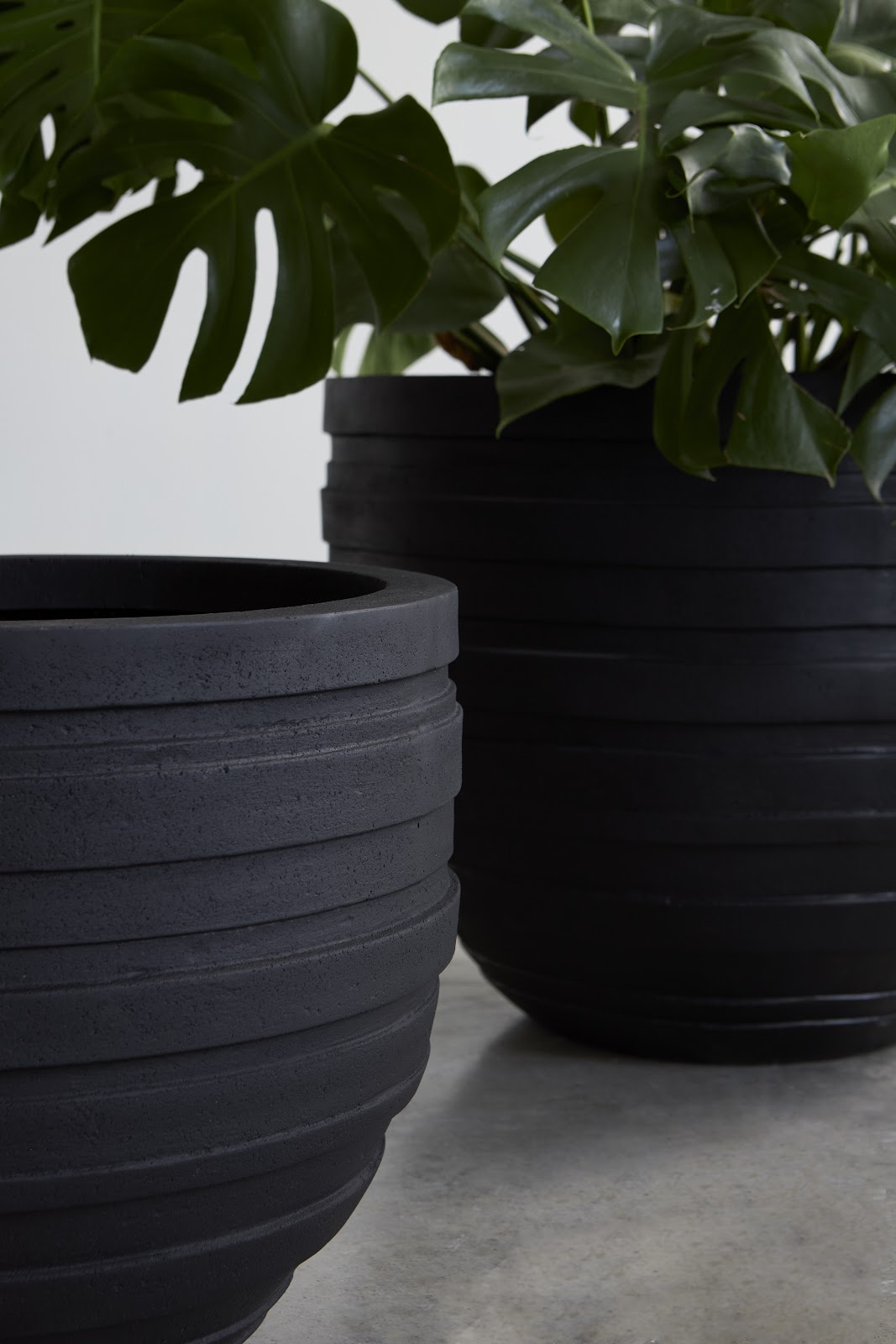 June Planter, Black, SM