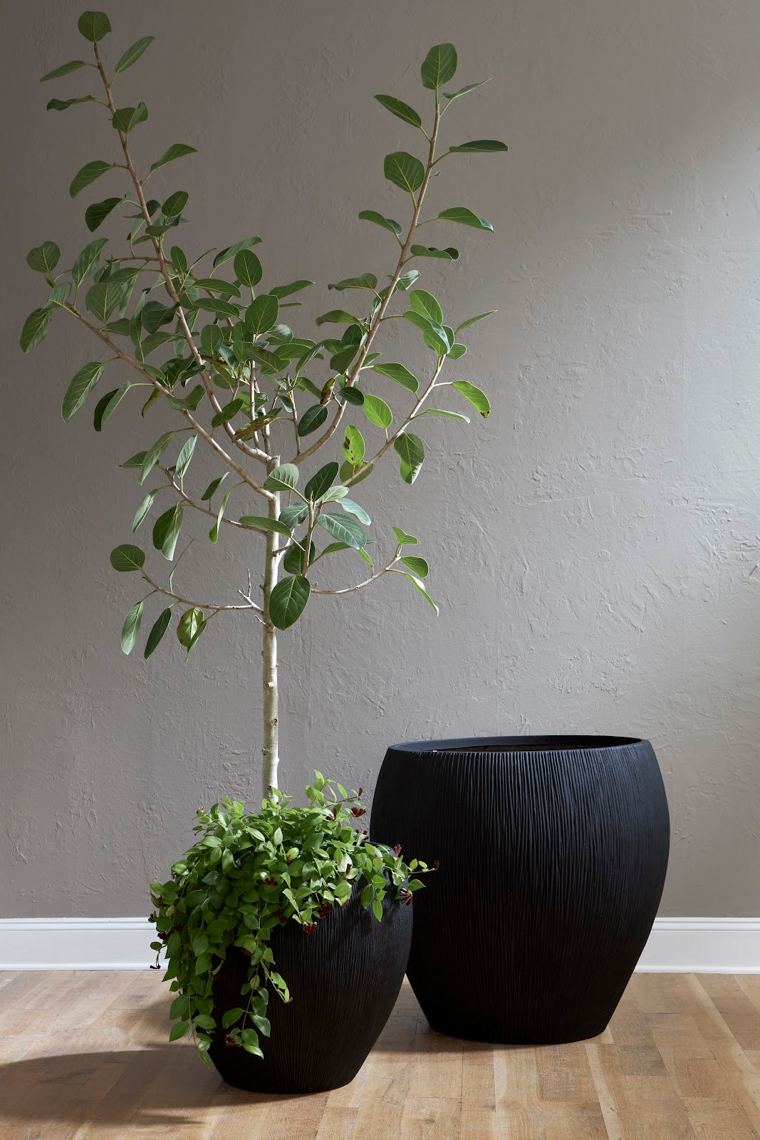 Filament Planter, Black, MD