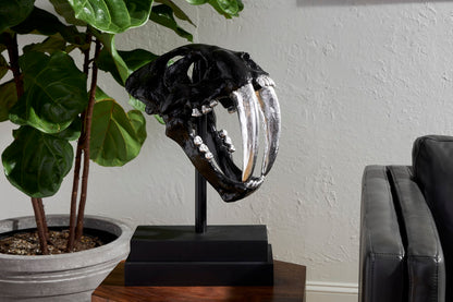 Saber Tooth Tiger Skull, Black