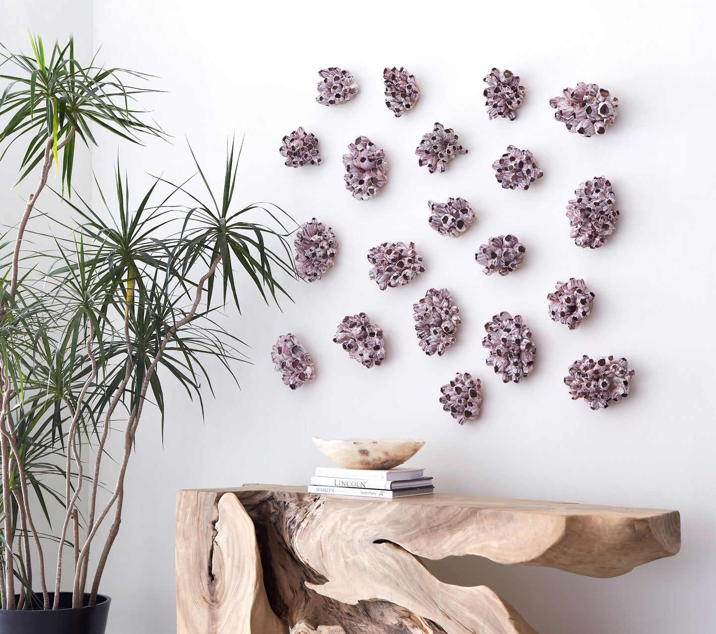 Barnacle Cluster Wall Art, LG