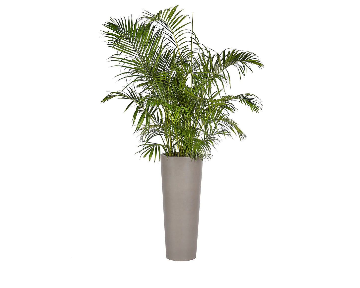 NAHLA ARBOR PLANTER - LARGE