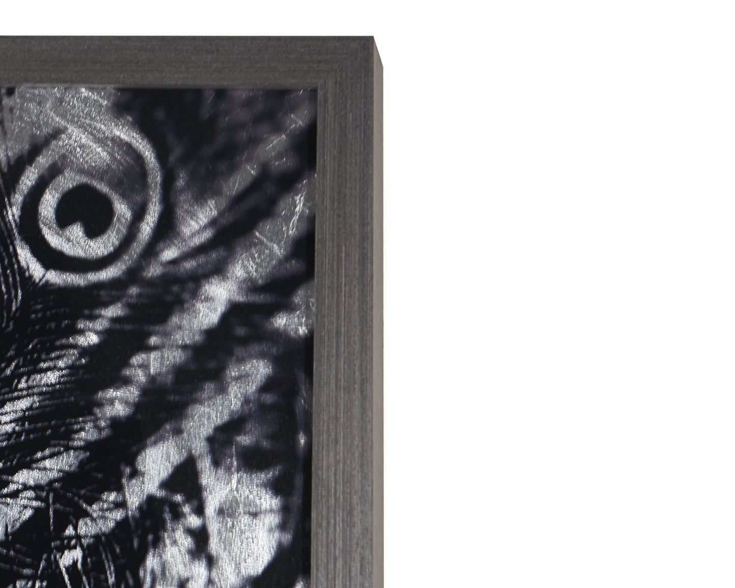 NAHLA SILVER PLUMAGE - 72" X 48" - CHARCOAL FRAME