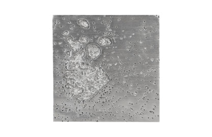 Splotch Wall Art, Square, Silver Leaf