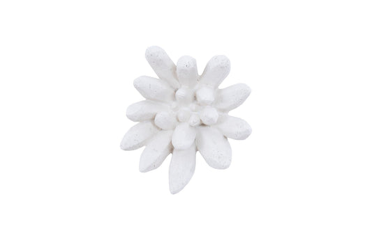 Compactum Succulent Wall Art, White Stone