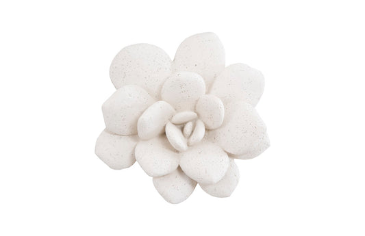 Laui Succulent Wall Art, White Stone