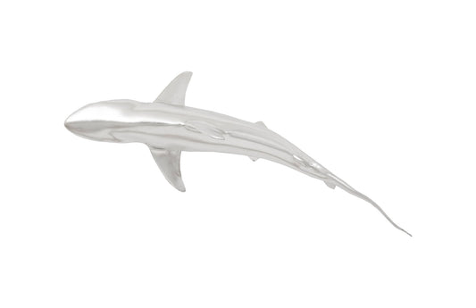 Whaler Shark, Silver Leaf