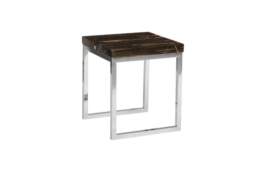 Petrified Wood Side Table, Laminated