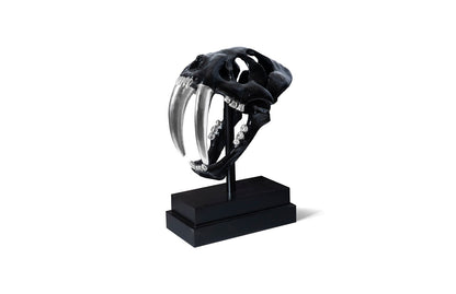 Saber Tooth Tiger Skull, Black