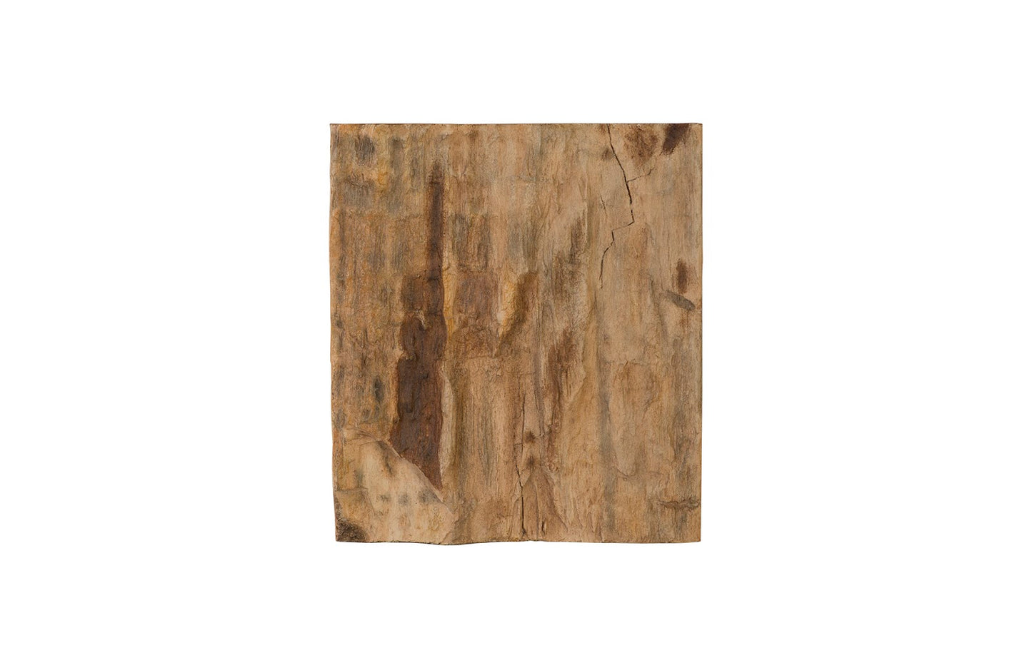 Cast Petrified Wood Wall Tile, Resin, Square