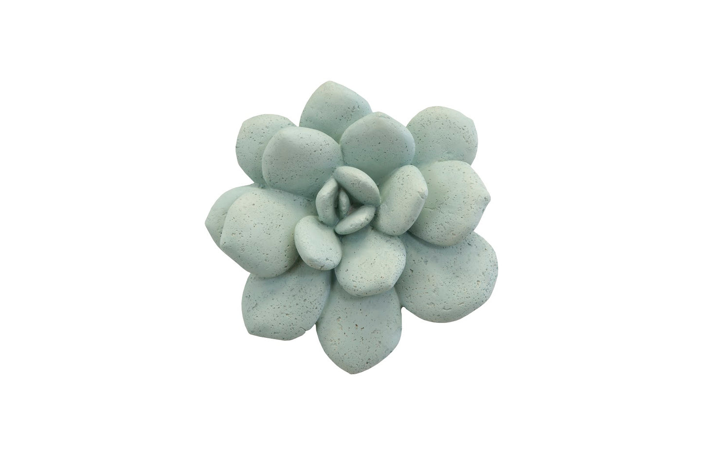 Laui Succulent Wall Art, Sage